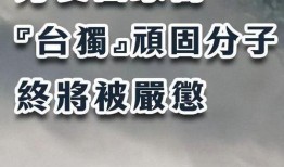 顽固国家在线观看,顽固国家在线观看攻略揭秘