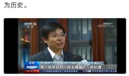 央视爆料马晓伟事件视频,真相与争议并存