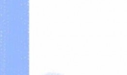 轻奢日料爆料视频大全,揭秘热门爆料视频大全