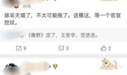 最近王者爆料新闻报道视频,最新游戏动态揭秘，精彩视频抢先看！