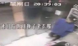陈翔直播间爆料视频,独家爆料背后的故事