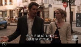巴黎我爱你在线观看,浪漫都市的温馨瞬间