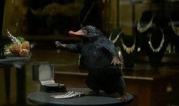 神奇动物在线观看,神奇动物在线观影之旅