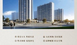 桐乡新闻怎么爆料,全民参与，共建和谐，爆料平台助力问题解决