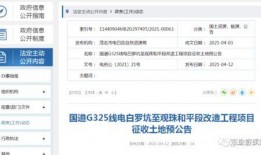 电白头条观珠爆料视频,电白头条视频揭示惊人内幕