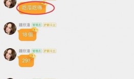 明星吃瓜免费网站大全,一网打尽娱乐圈热点