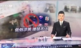 阿厦爆料徒弟处对象视频