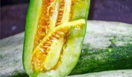 新疆吃瓜网红叫什么来着,揭秘瓜界风云