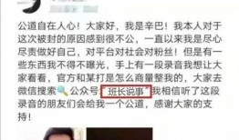 镇哥前妻爆料视频,婚姻真相令人震惊