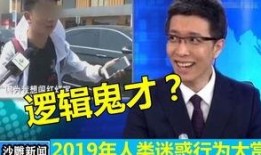 辽宁男孩爆料新闻视频大全,新闻视频大全背后的真实故事