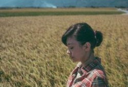 寒蝉效应电影在线观看,揭秘校园恐怖事件的惊悚真相