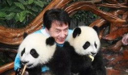 戴熊猫头套爆料娱乐圈,娱乐圈幕后故事大曝光