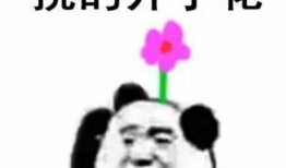 爆料小大人视频搞笑图片,小大人搞笑图片集锦