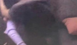 汪小菲爆料房子视频大全,奢华生活大揭秘