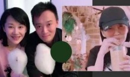 娱乐吃瓜电影推荐大全,盘点年度热门娱乐吃瓜电影推荐大全