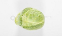 吃瓜免费图片资源,海量吃瓜图片资源大放送