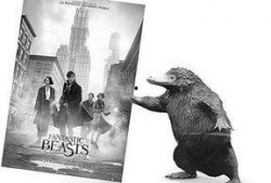 神奇动物在线观看,神奇动物在线观影之旅