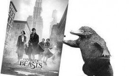 神奇动物在线观看,神奇动物在线观影之旅