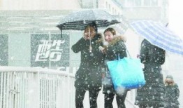 重大爆料预告最新消息新闻,重大爆料预告，最新消息即将揭晓！