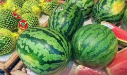 免费的水果免费吃瓜,免费水果，尽享夏日清凉