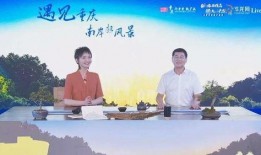 怎样爆料重庆新闻,新闻爆料背后的真相与线索
