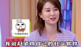 明星吃瓜免费网站大全,一网打尽娱乐圈热点