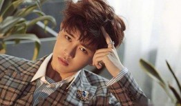 任嘉伦李易峰最新爆料,揭秘娱乐圈幕后真相与精彩瞬间