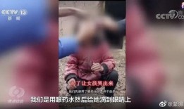 表哥爆料卖乌鸡视频大全,表哥爆料视频大全带你一探究竟