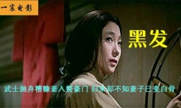武士夫人在线观看,穿越时空的武士传奇