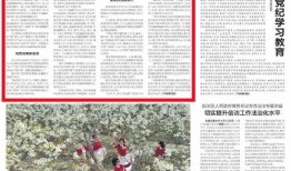 新疆民生爆料最新消息,聚焦最新民生动态，揭示社会热点问题