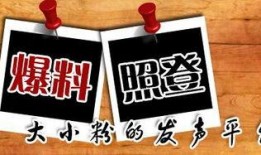 怎样爆料重庆新闻,新闻爆料背后的真相与线索