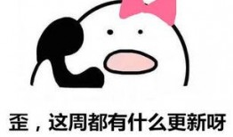 小昕圈内爆料