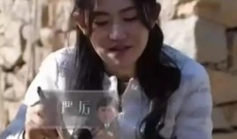 厨子黄磊爆料事件视频播放,揭秘娱乐圈幕后真相