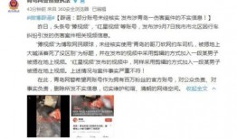 碧桂园物业爆料事件视频,揭露背后真相