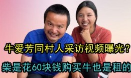 爆料采访视频,爆料采访视频背后的惊人内幕
