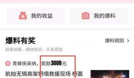 电白头条观珠爆料视频,电白头条视频揭示惊人内幕