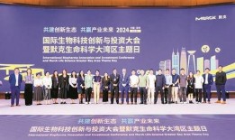 深圳光明区头条爆料新闻,聚焦民生工程进展与社区动态