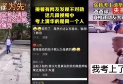 云南网红事件爆料视频,揭秘背后真相与网络舆论风暴