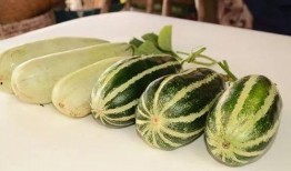 网红吃瓜网站颜色,色彩斑斓的娱乐圈揭秘