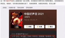 好声音海选爆料视频,精彩瞬间与幕后花絮大揭秘