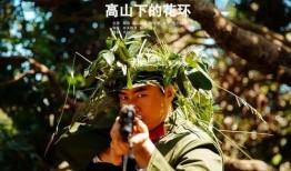 虎刺拳爆料视频在线观看,独家揭秘武术界幕后风云