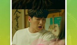 蛇叔爆料视频大全下载安装,下载安装攻略全解析