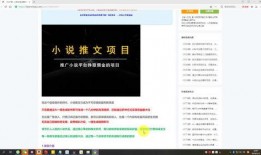 视频爆料玩法有哪些,热门新玩法大盘点