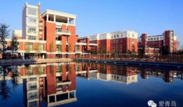 青岛十九中最新爆料,揭秘校园风云背后的故事