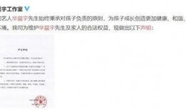 娱乐圈吃瓜鸭,吃瓜鸭带你揭秘幕后真相