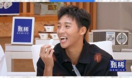 娱乐圈内幕爆料柳岩,真相与谣言的交织