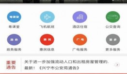 广东兴宁爆料新闻视频,视频揭露惊人事件，详情即将揭晓
