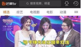 芒果卫视在线观看,畅享在线观看，尽享视听盛宴