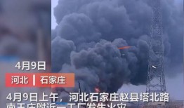 最新蓬莱爆料事件视频大全,视频大全揭秘惊人真相