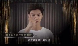 黑哥爆料小二视频大全集,小二视频大全集深度解析